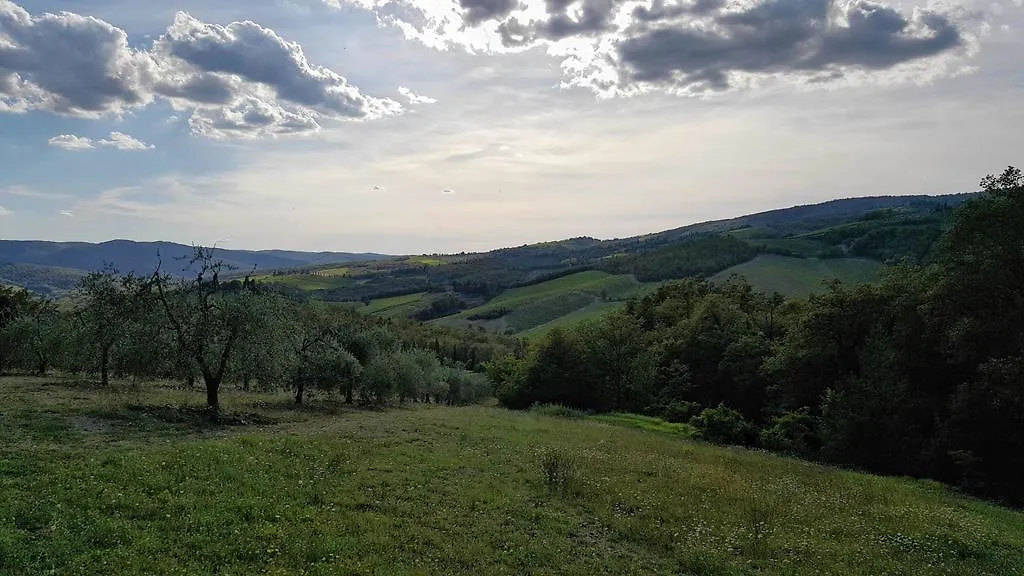Holiday House Le Selvole Apartment Radda in Chianti 0*,